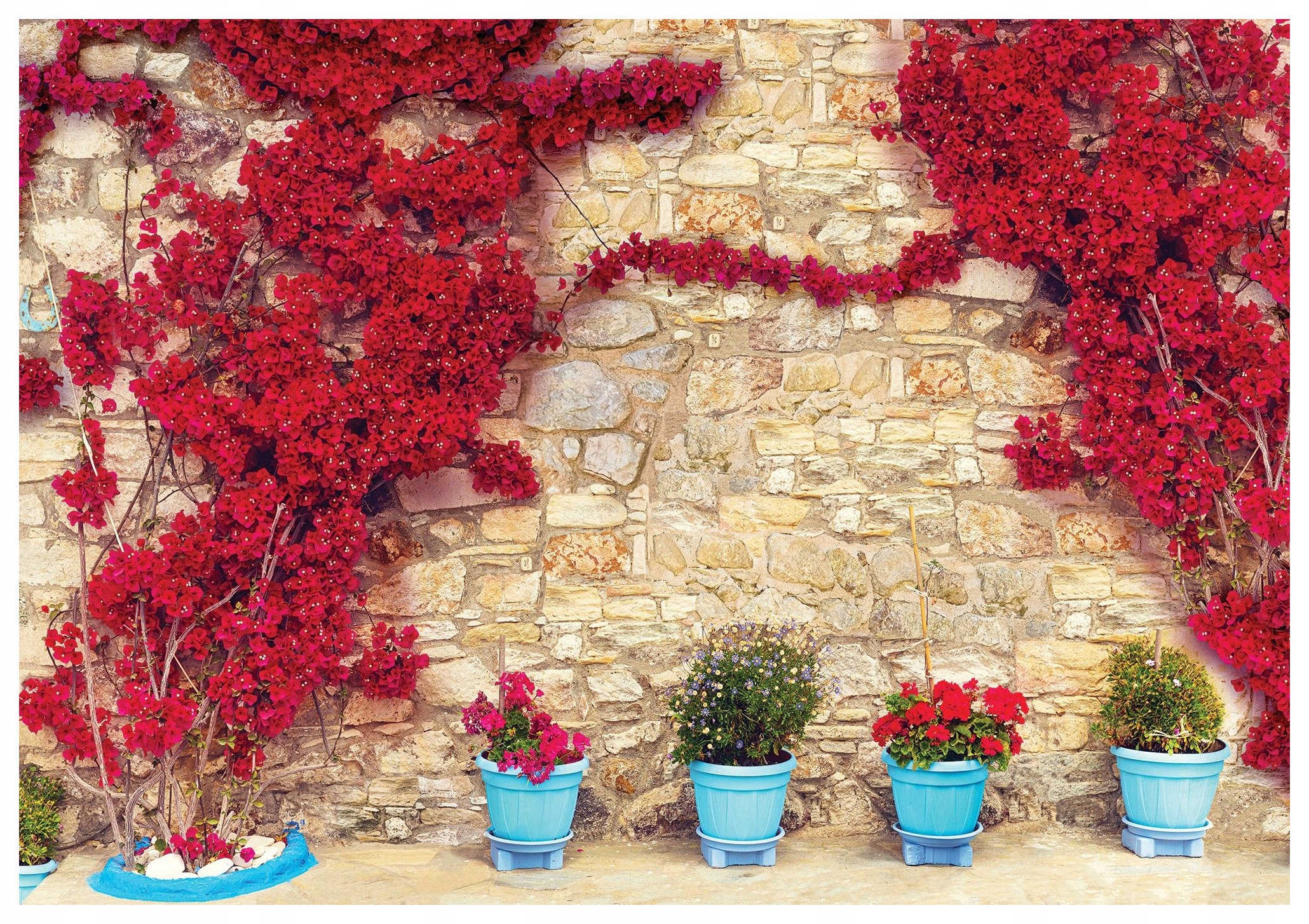 Fototapeta Flizelina Kamenná zeď bugenwilla Styl Boho Eko 200x140 lepidlo