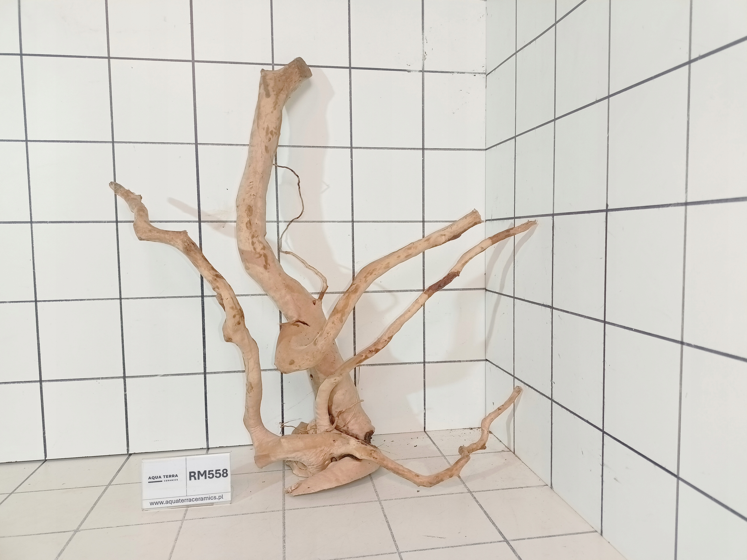 Korzeń Japoński Do Akwarium Terrarium Red Moor RM558 (to co na zdjęciu)