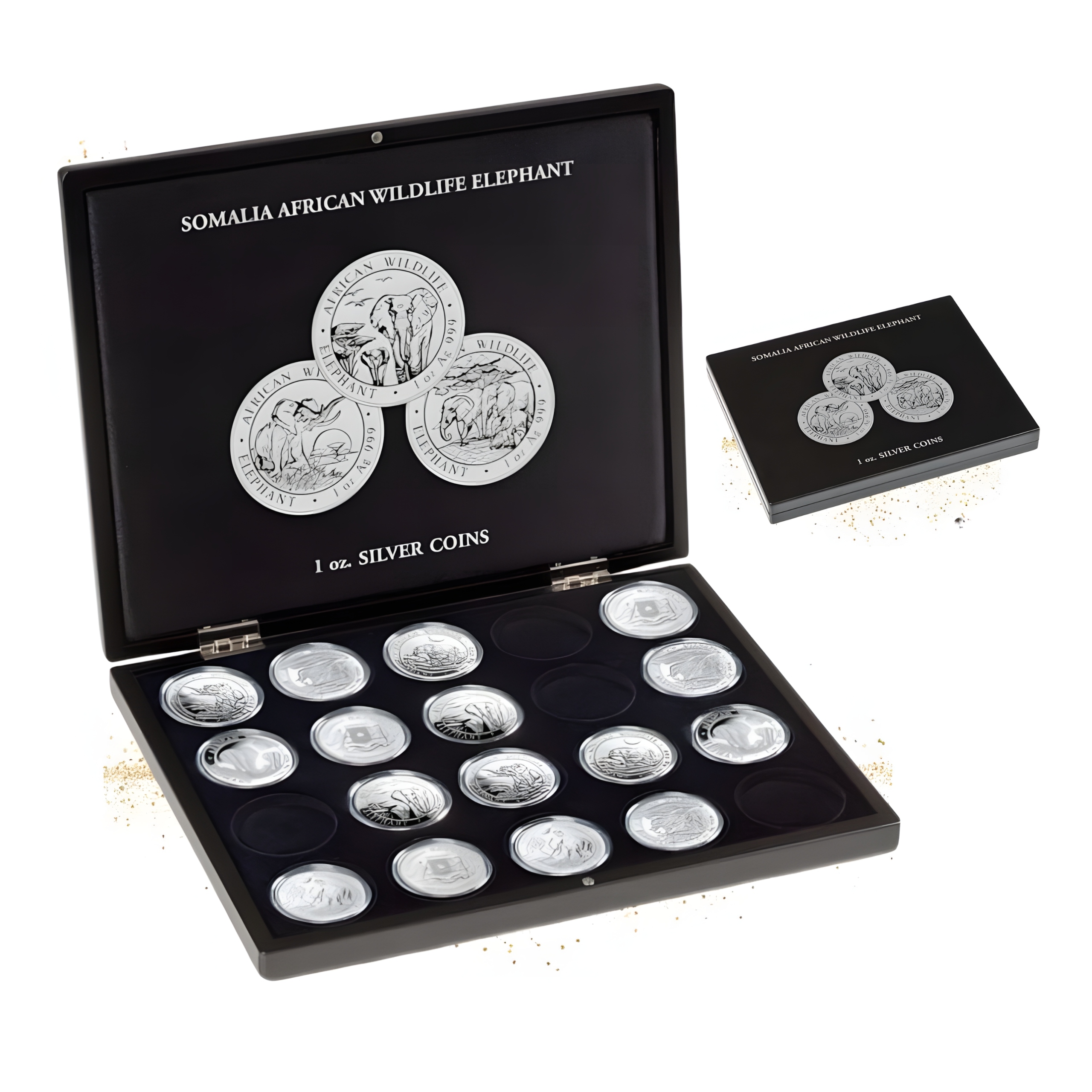 Kazeta na stříbrné mince Slon somálský Leuchtturm 20 mincí v kapslu