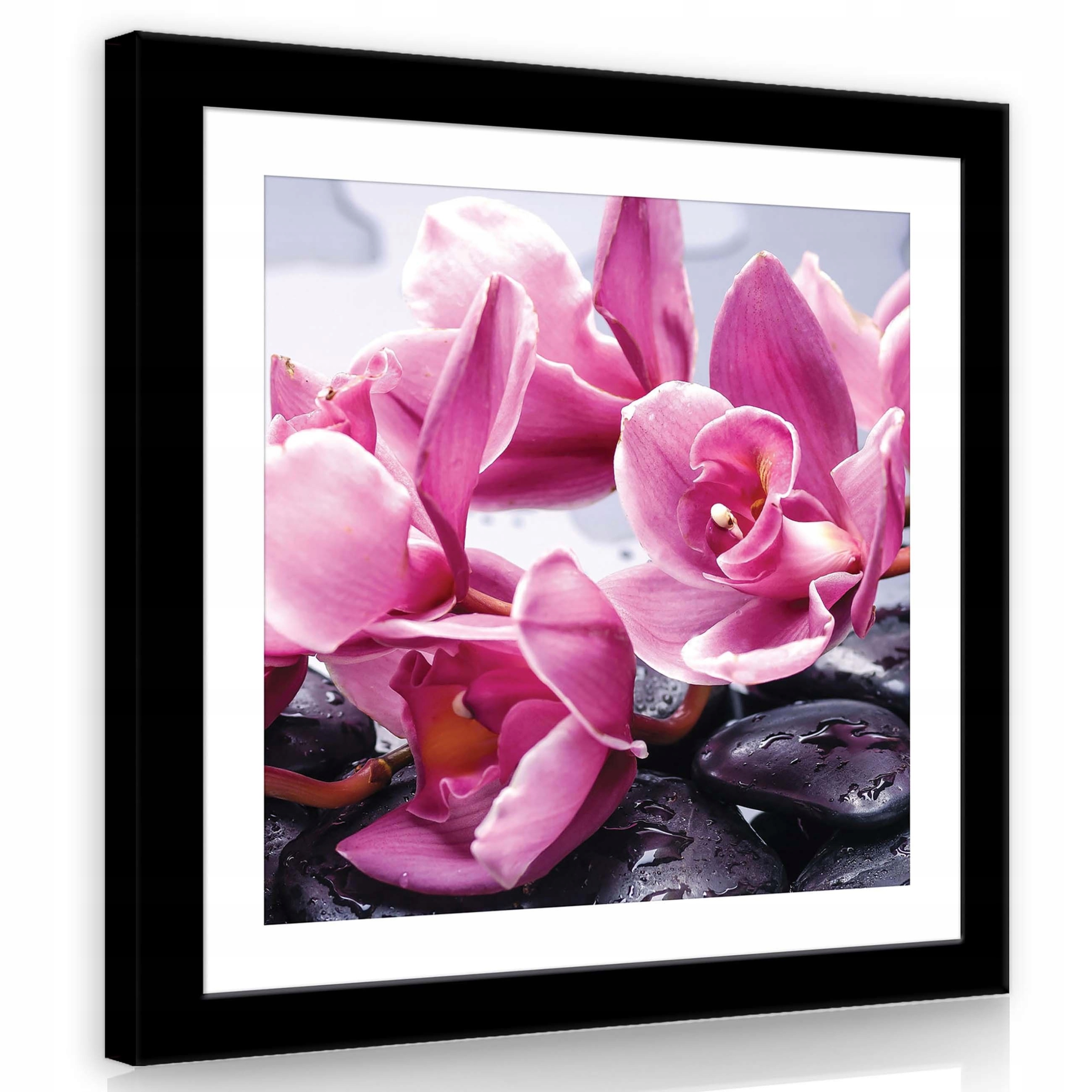 Obraz 80x80 Orchidej růžové kameny kapky voda lázně relaxace příroda květiny