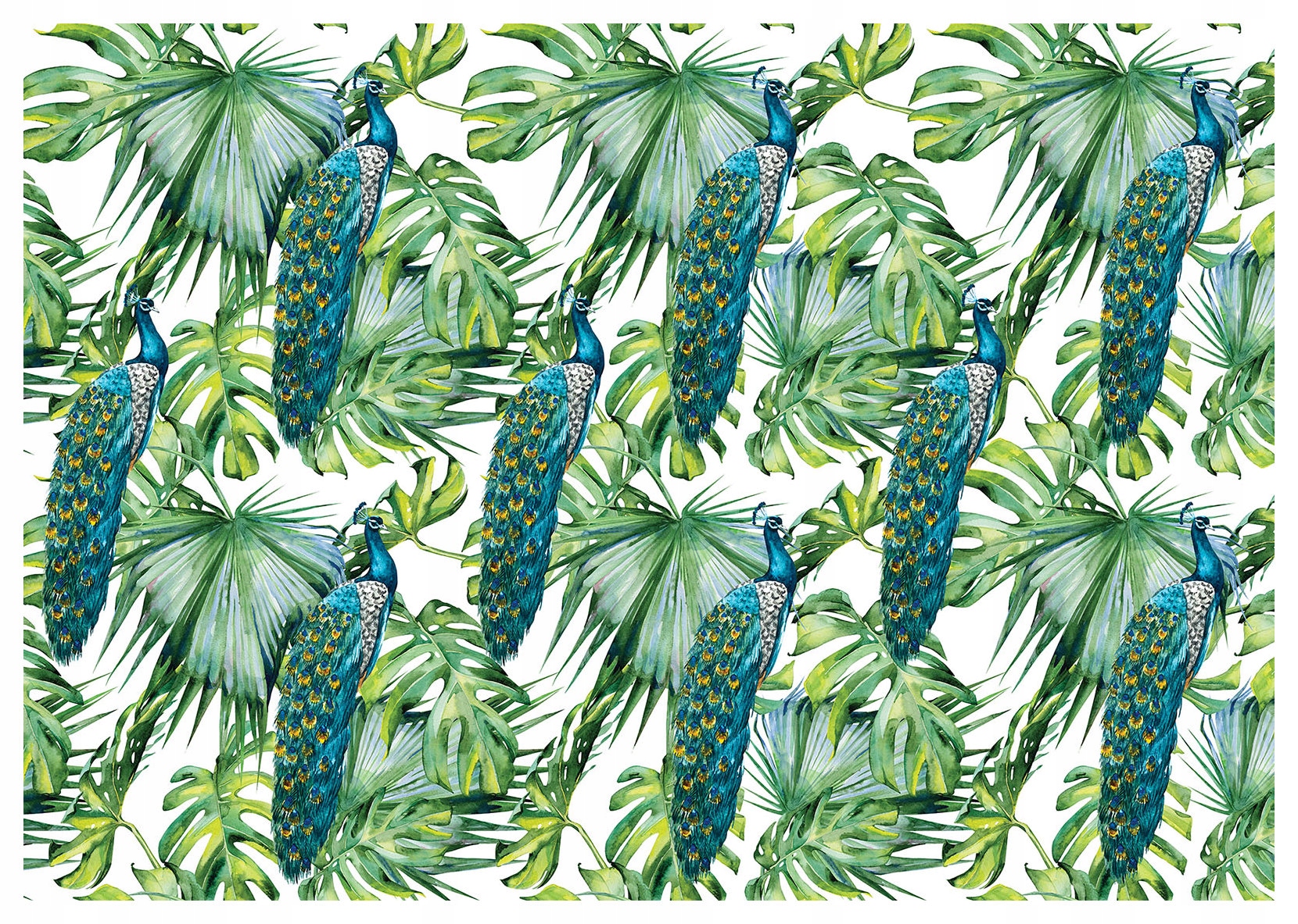 Fototapeta Paví exotika tropické listy vinylová 416x254 lepidlo