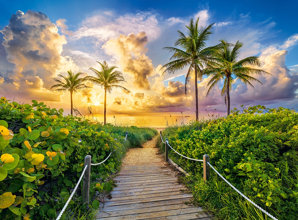 

Puzzle 3000 Krajobraz Widok Plaża Ocean 9+ Castor