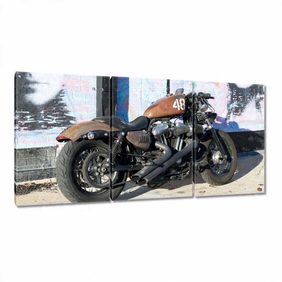 

Obrazy 120x60 Motocykl