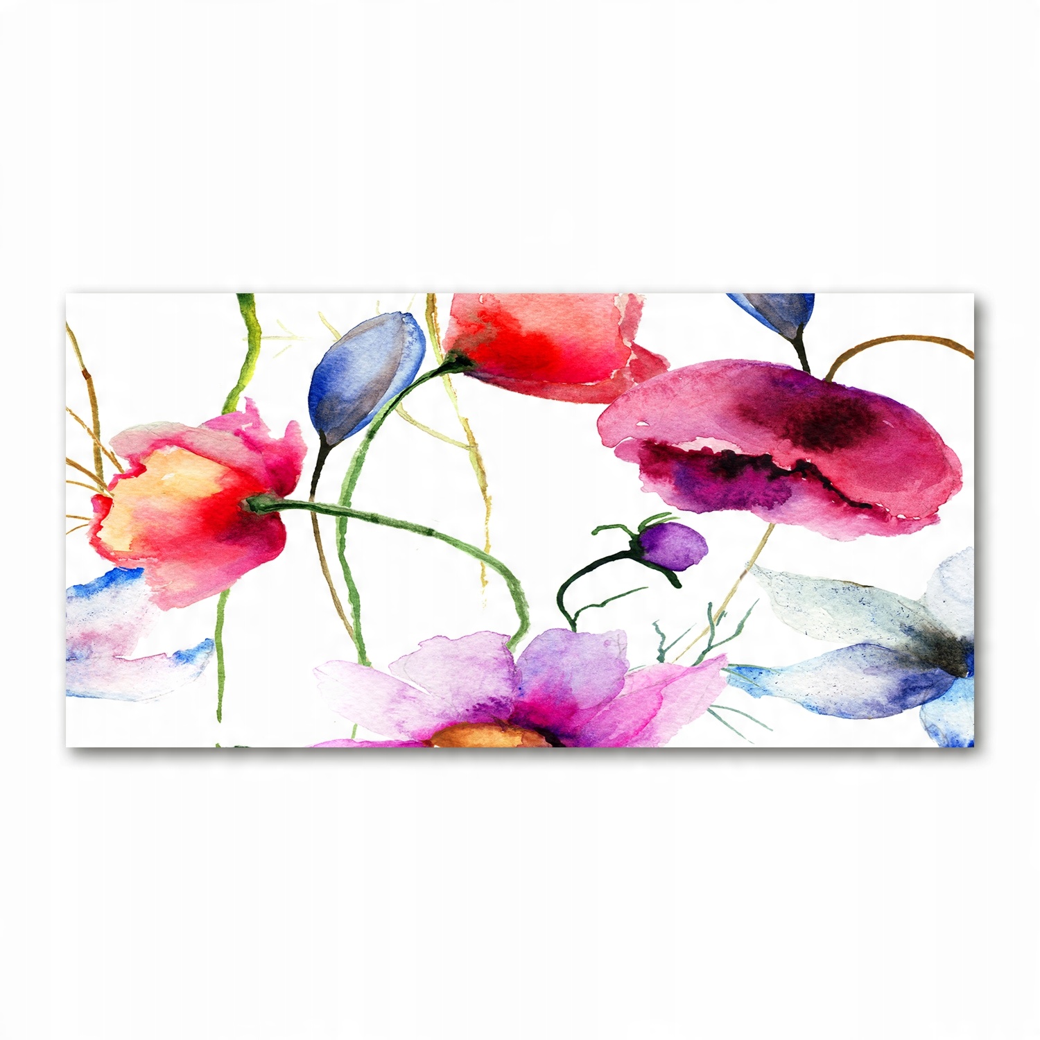 

Foto obraz na ścianę akryl Maki zdjęcie 140x70 cm