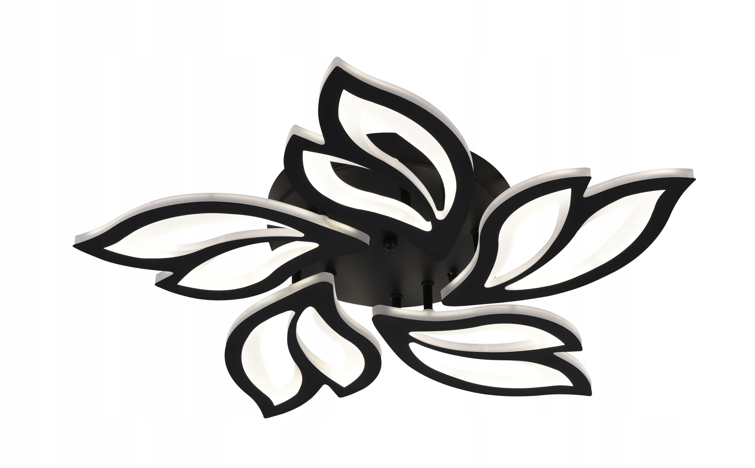 Výjimečné horní osvětlení, složitý černý květ s regulací jasu