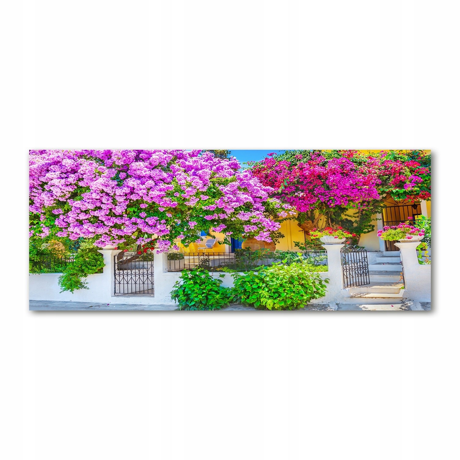 

Foto obraz szkło akryl Dom z bugenwillą 125x50 cm