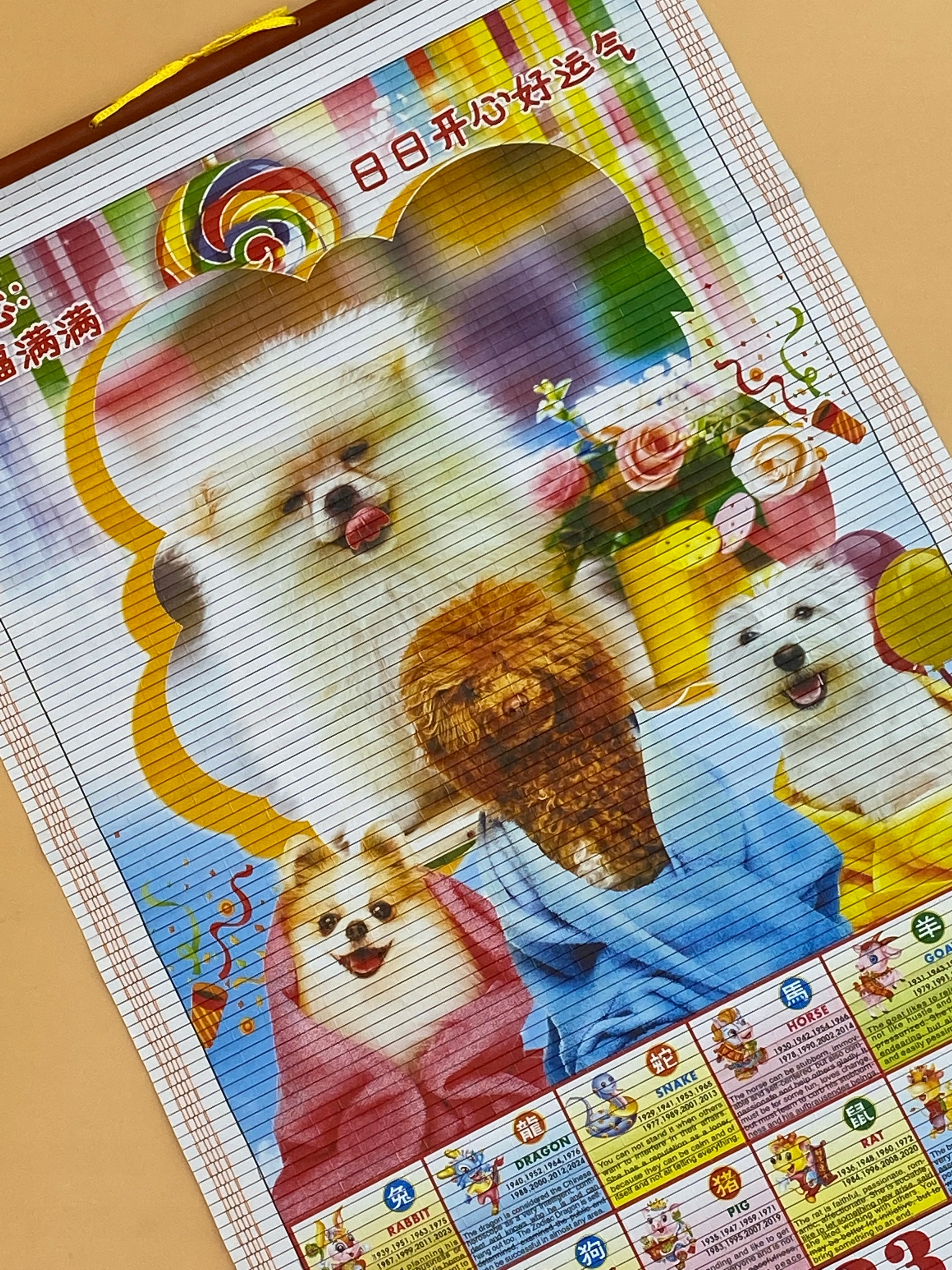 Chiński trzcinowy KALENDARZ ścienny na 2023 r PSY Tematyka, motyw Oryginalny chiński