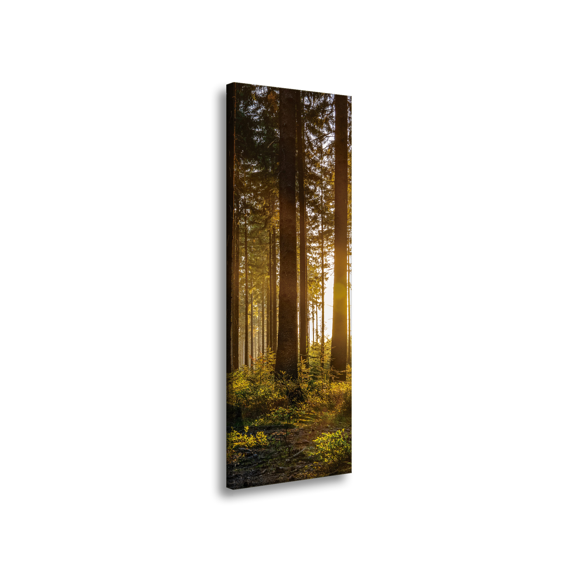 Obraz na plátně Západ slunce Les Stromy Příroda 40x120 cm
