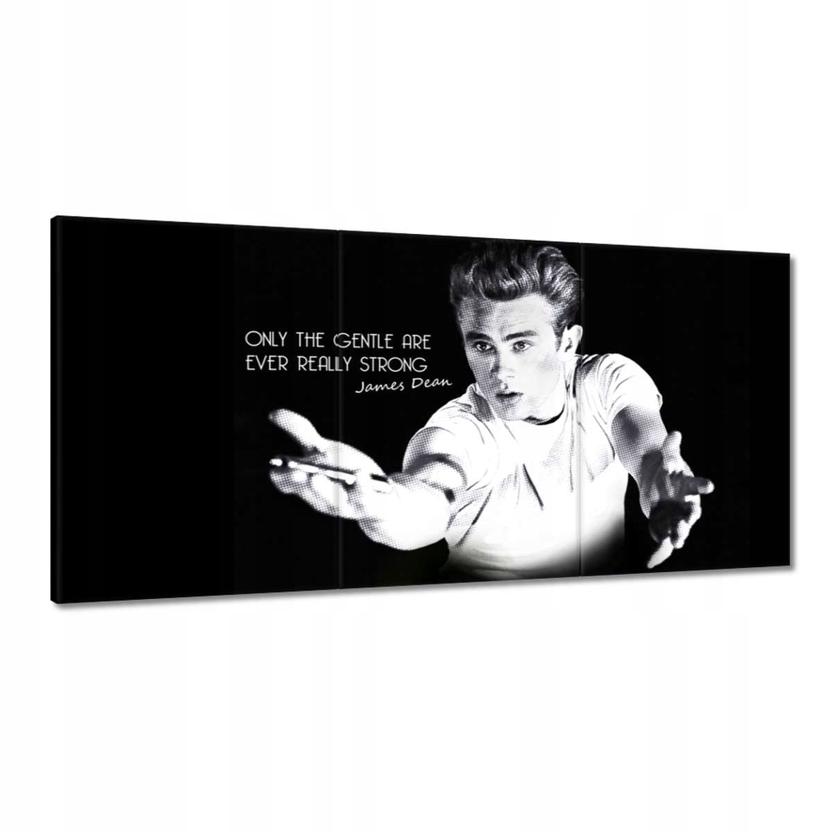 Obrazy 180x90 James Dean