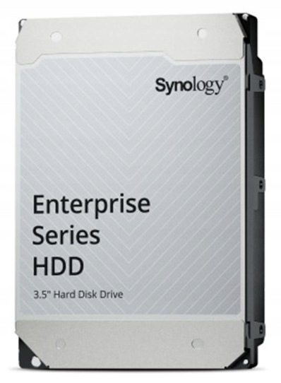 Synology HAS5310 12TB Hdd 3.5" Sas 7200 Rpm Srebrny 5R