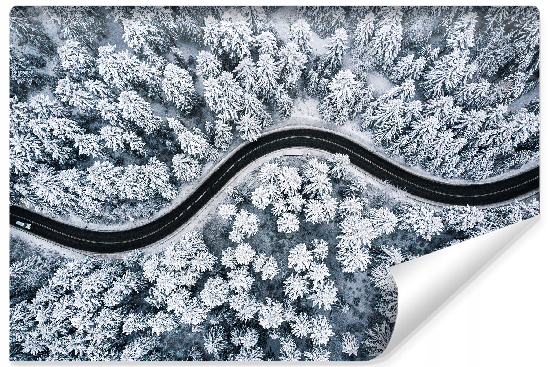 Fototapeta Ulice Les Sníh Pohled z hory 3D 405x270