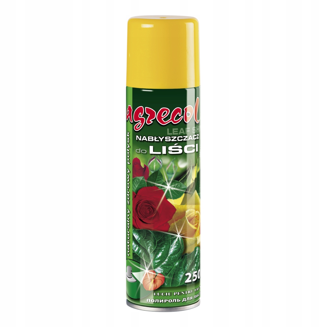 

Nabłyszczacz Do Liści Kwiatów Spray 250ml Agrecol