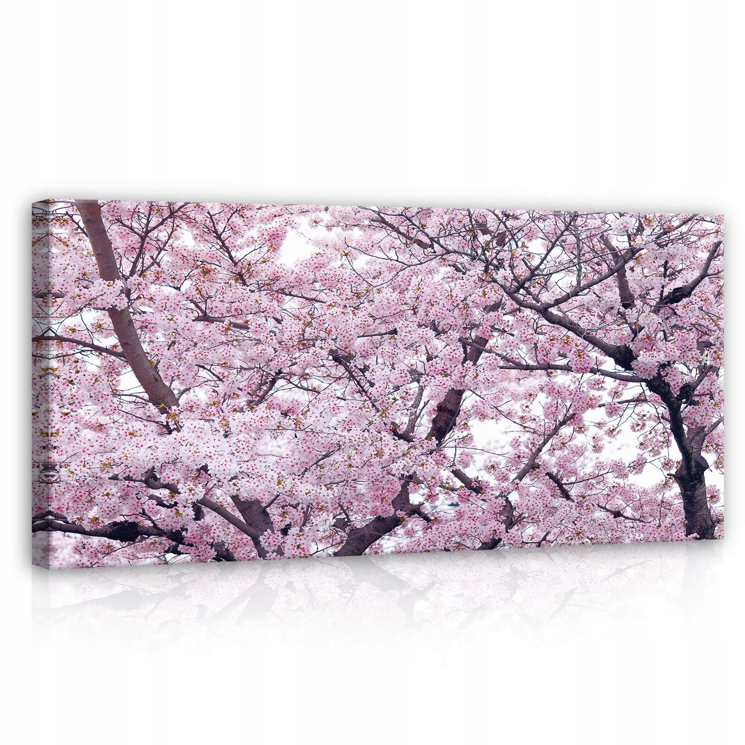 Obraz 115x55 Kvetoucí třešně sakura jaro růžové bílé květy příroda