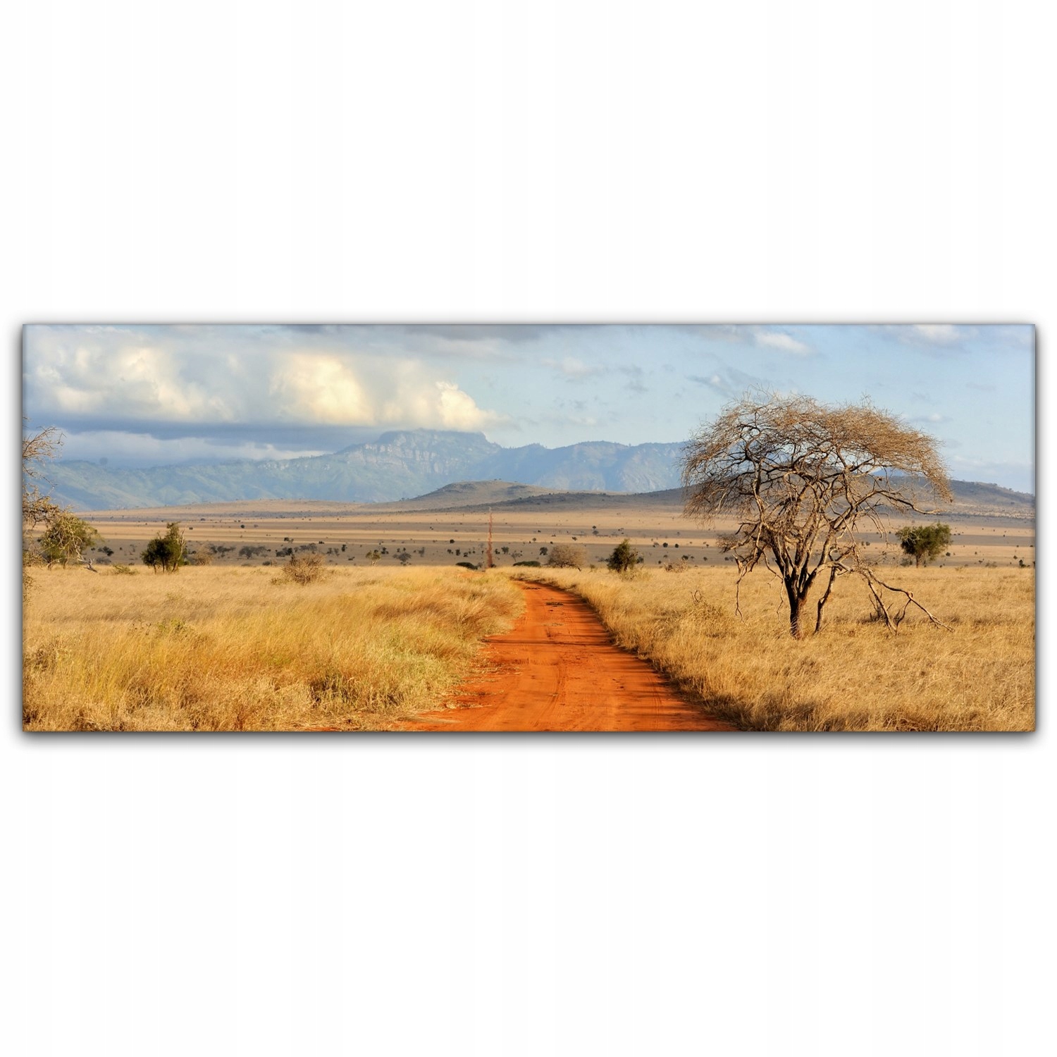

Foto-obraz canvas 125x50 Afryka Drzewa Krajobraz