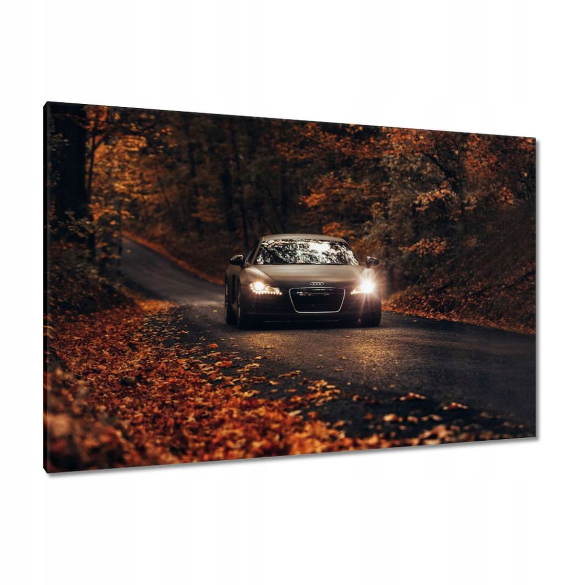 Obrazy 120x80 Audi Podzimní krajina