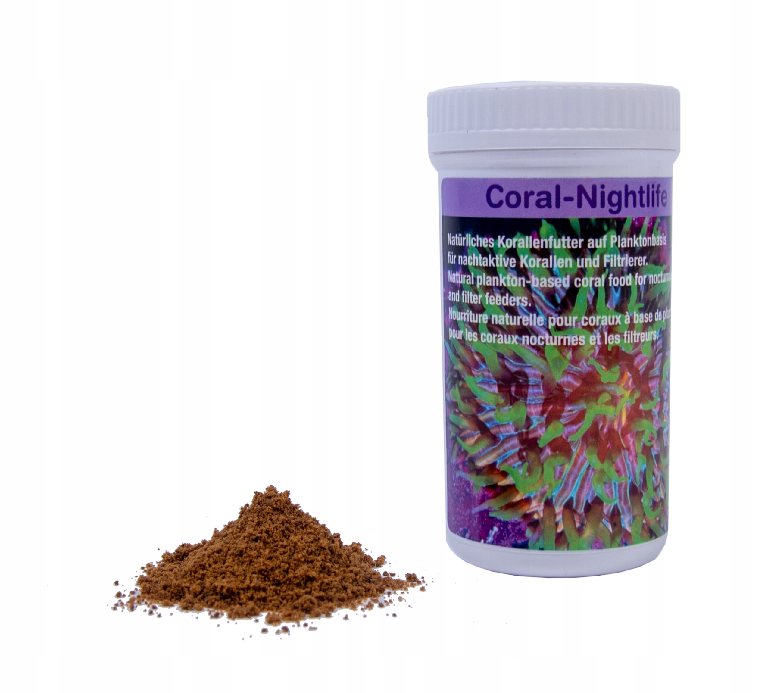 Levně Noční život v Preis Coral