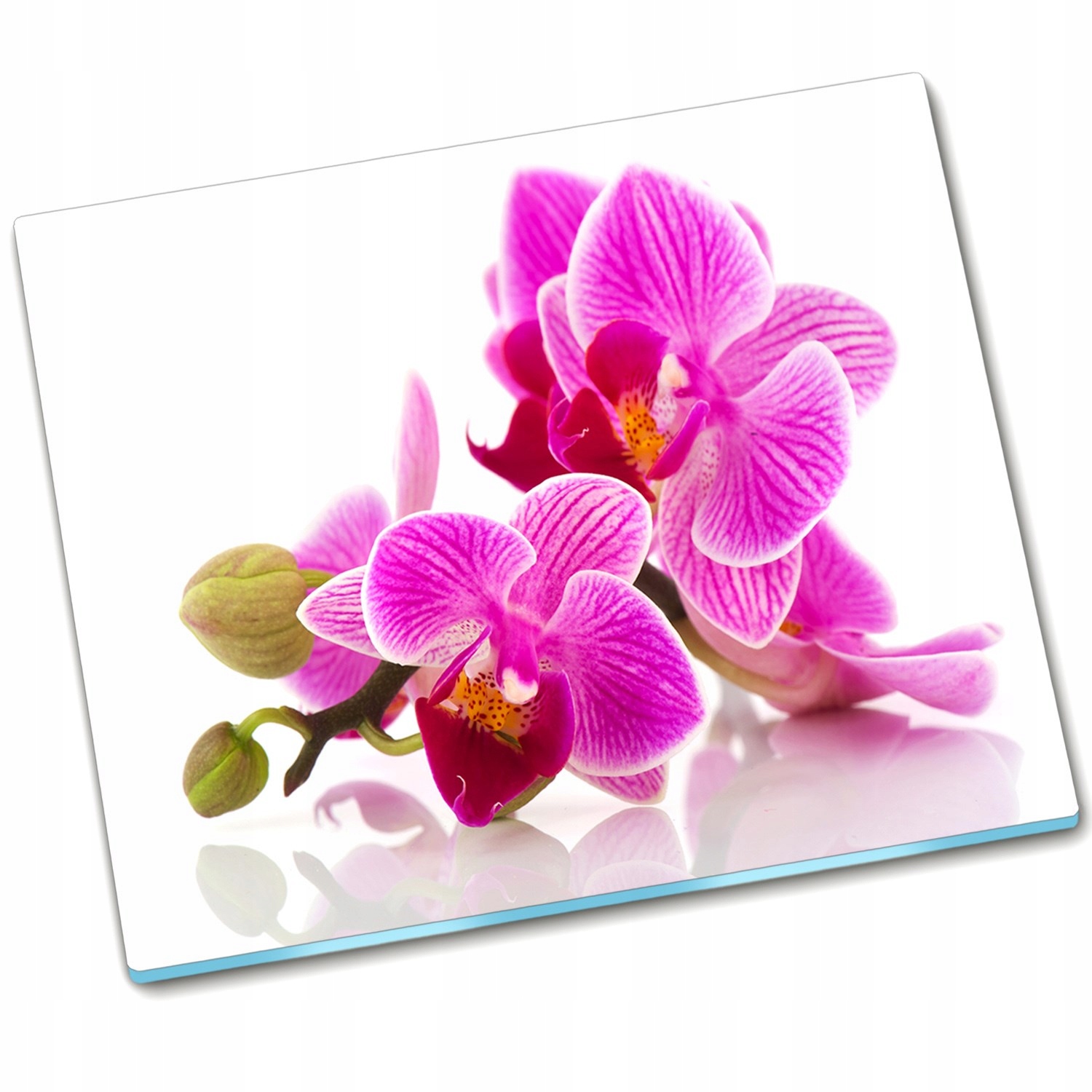 

Płyta ochronna na indukcję Kwiaty orchidei 60x52