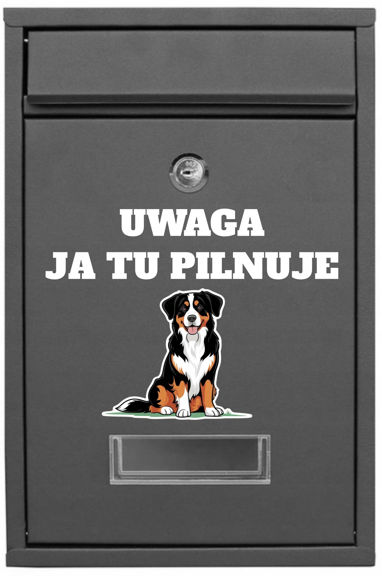 poštovní schránka Poštovní Pozor Já Tu Hlídám Bernského Psa
