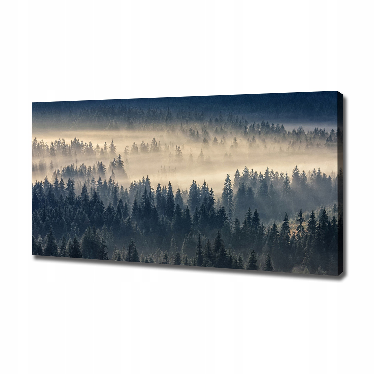 

Foto obraz na płótnie Mgła nad lasem 120x60 cm