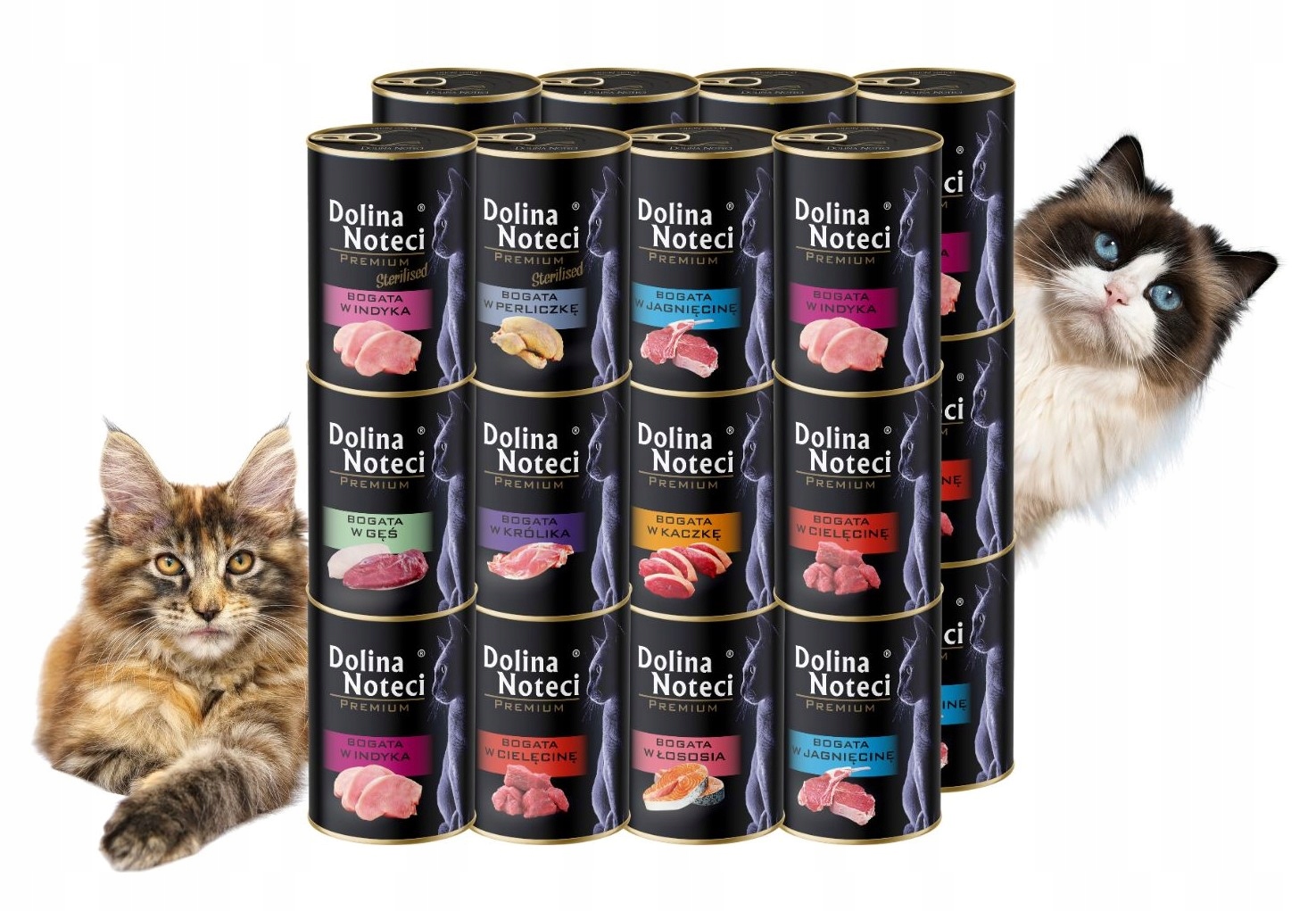 Dolina Noteci Premium Mokra karma dla kota MIX smaków 24x400g