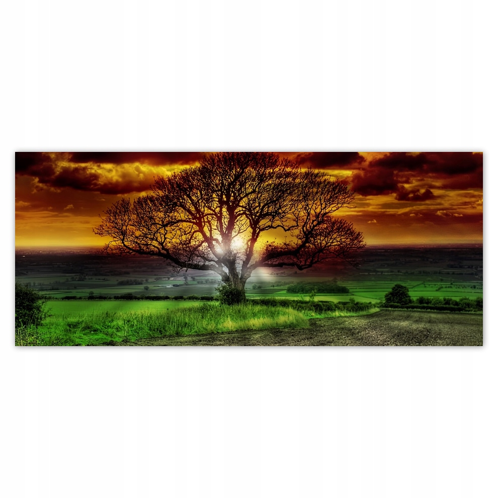 Fototapety flizelina 250x104 Kouzelný strom