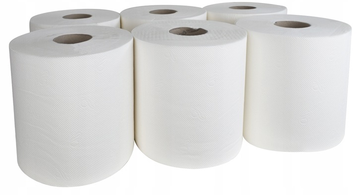 Levně Papírový ručník Bílý bezprašný 100% Celulóza 80m 6 Ks