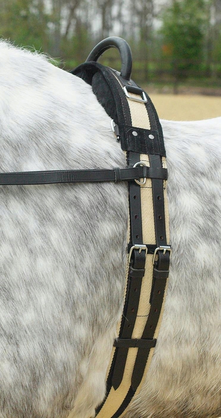 165cm -235cm PAS SZKOLENIOWY DO HIPOTERAPII BUSSE EAN (GTIN) 4026107066257