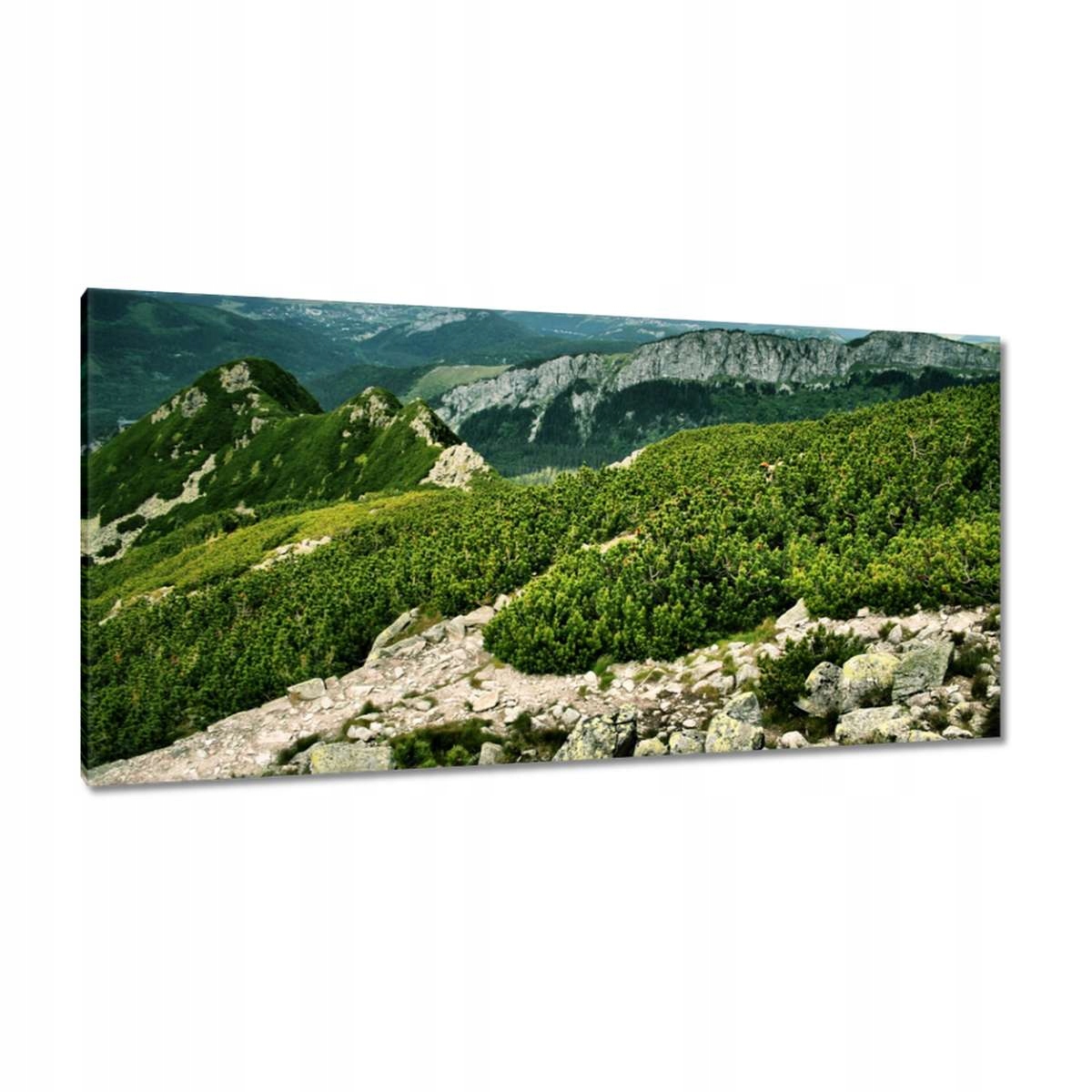 Obrazy 115x55 Tatry Polské hory Pohled