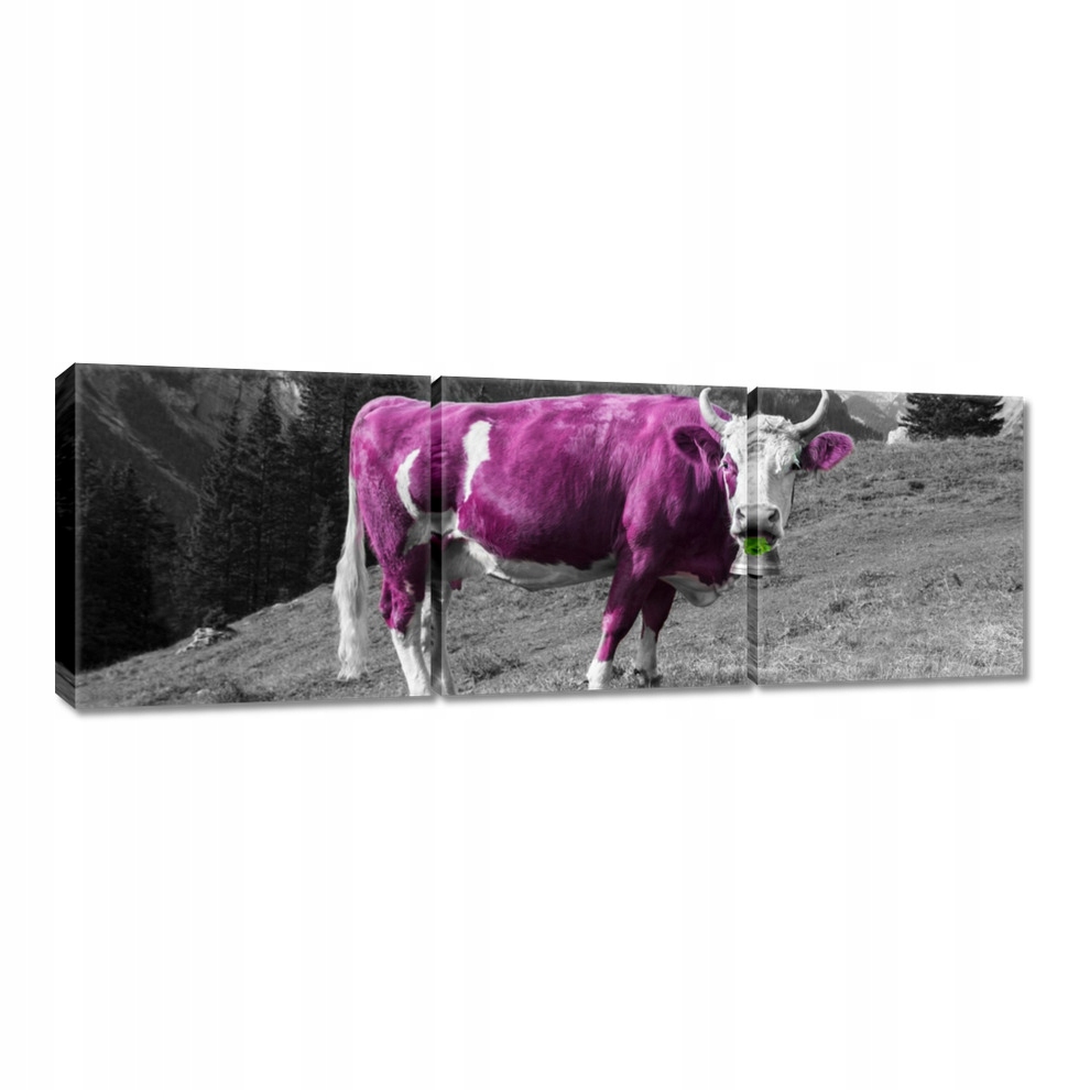 

Obrazy 120x40 Fioletowa krowa Emilka