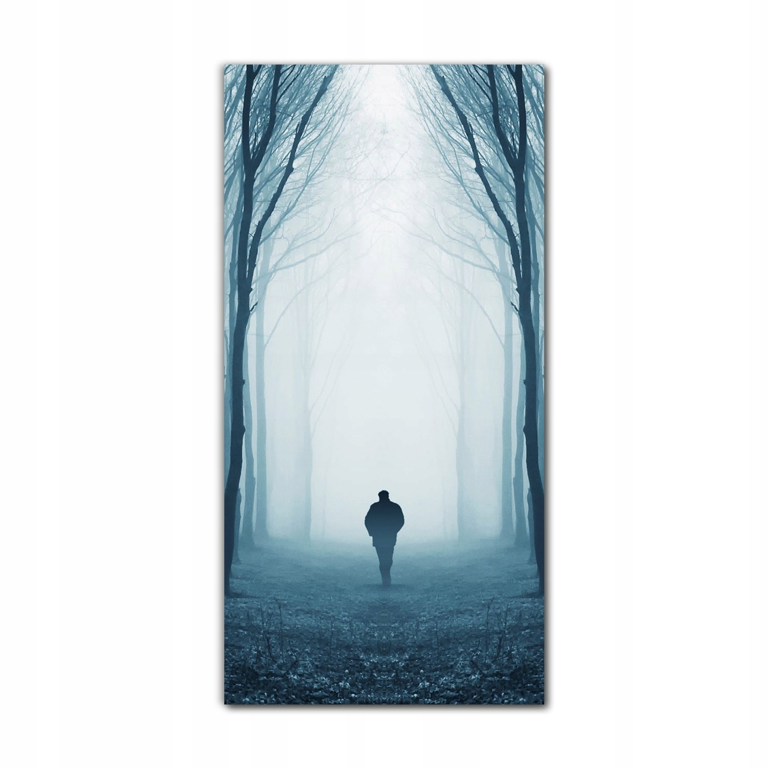 

Foto-obraz ścienny grafika 70x140 Ciemny las mgła