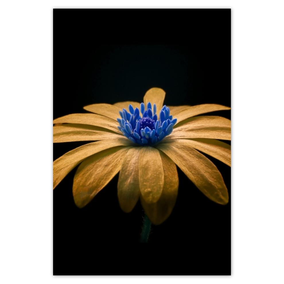 

Plakat 62x93 Herbaciany kwiat