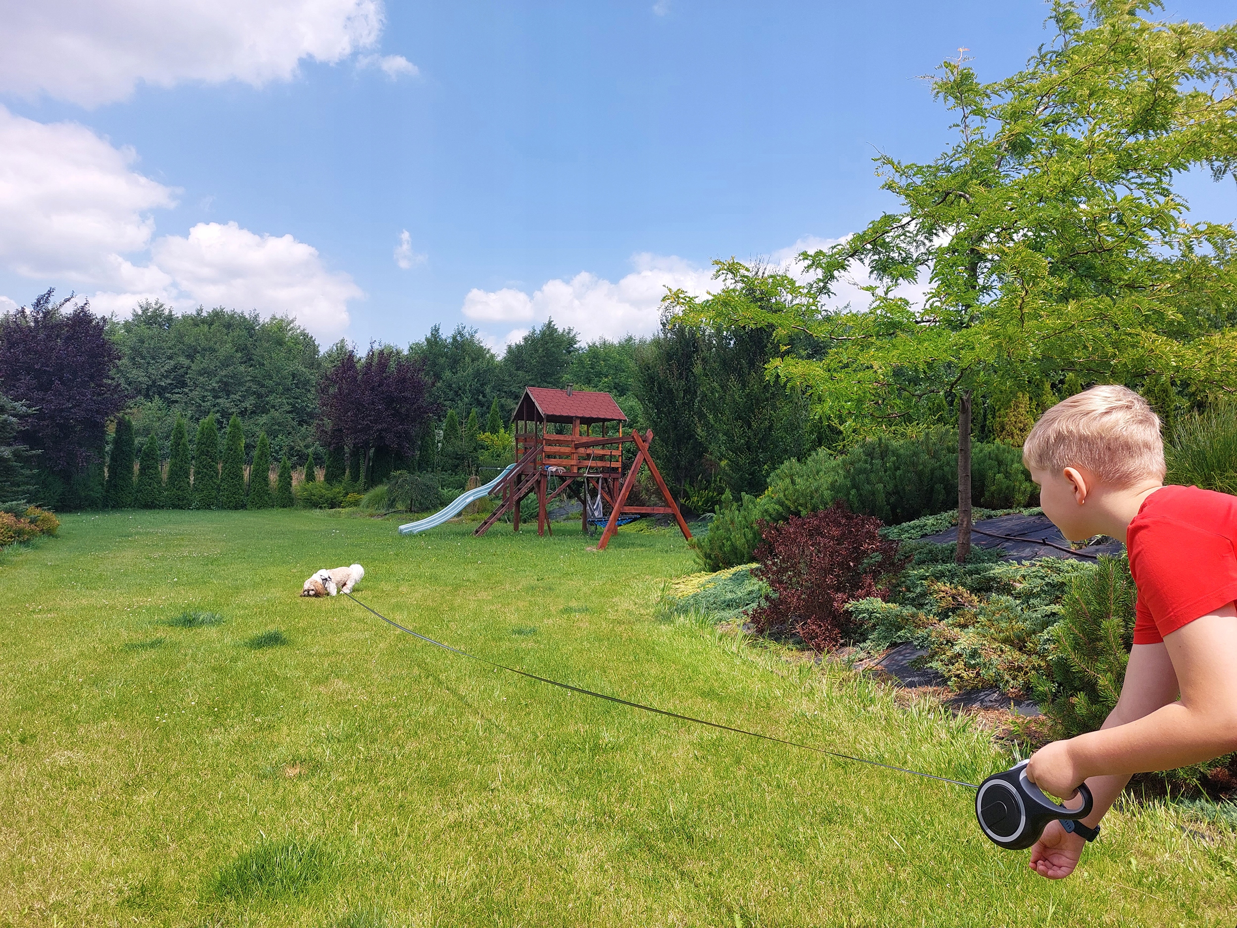 8de276354948812fa211f018e630