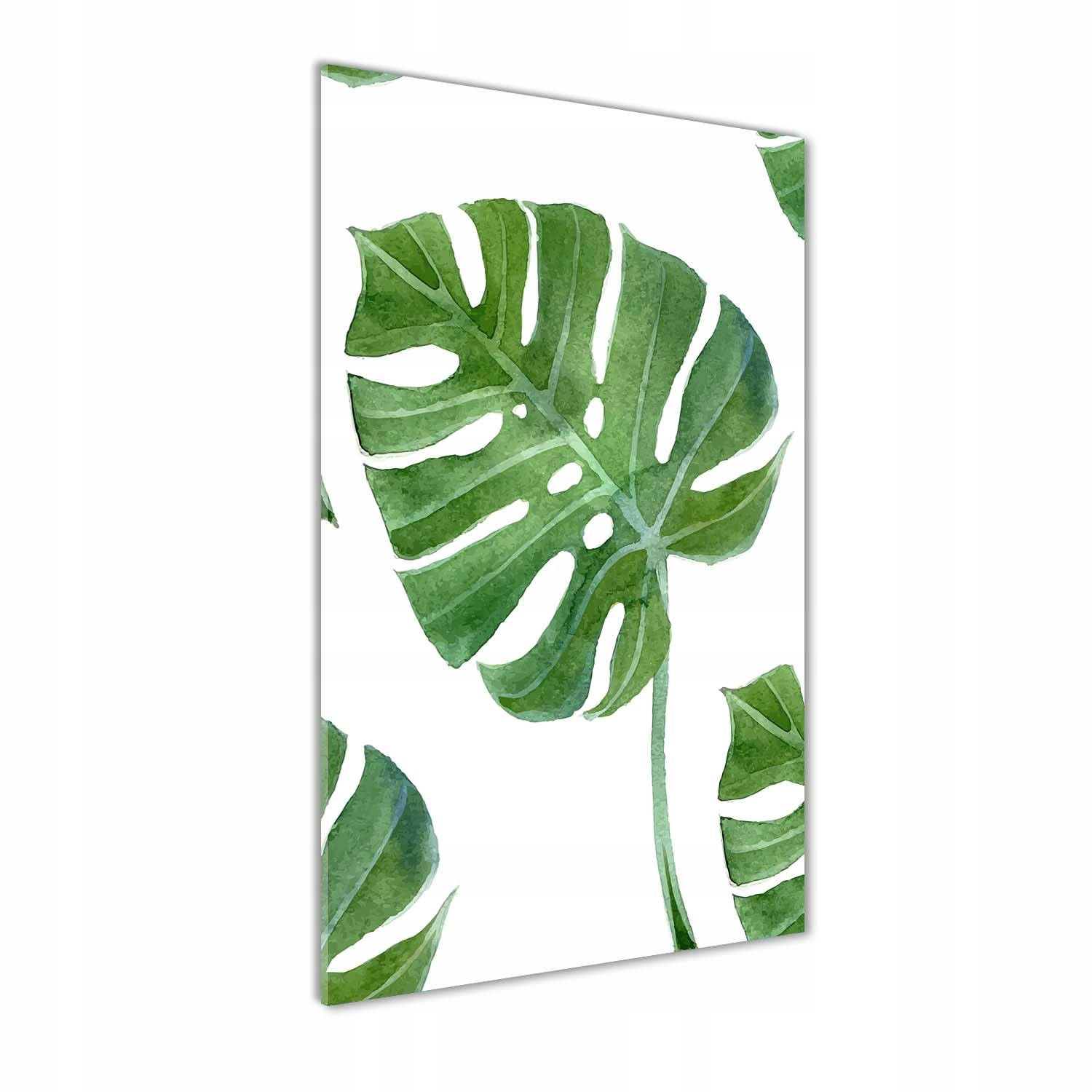 

Foto obraz akrylowy na ścianę Monstera 50x100 cm