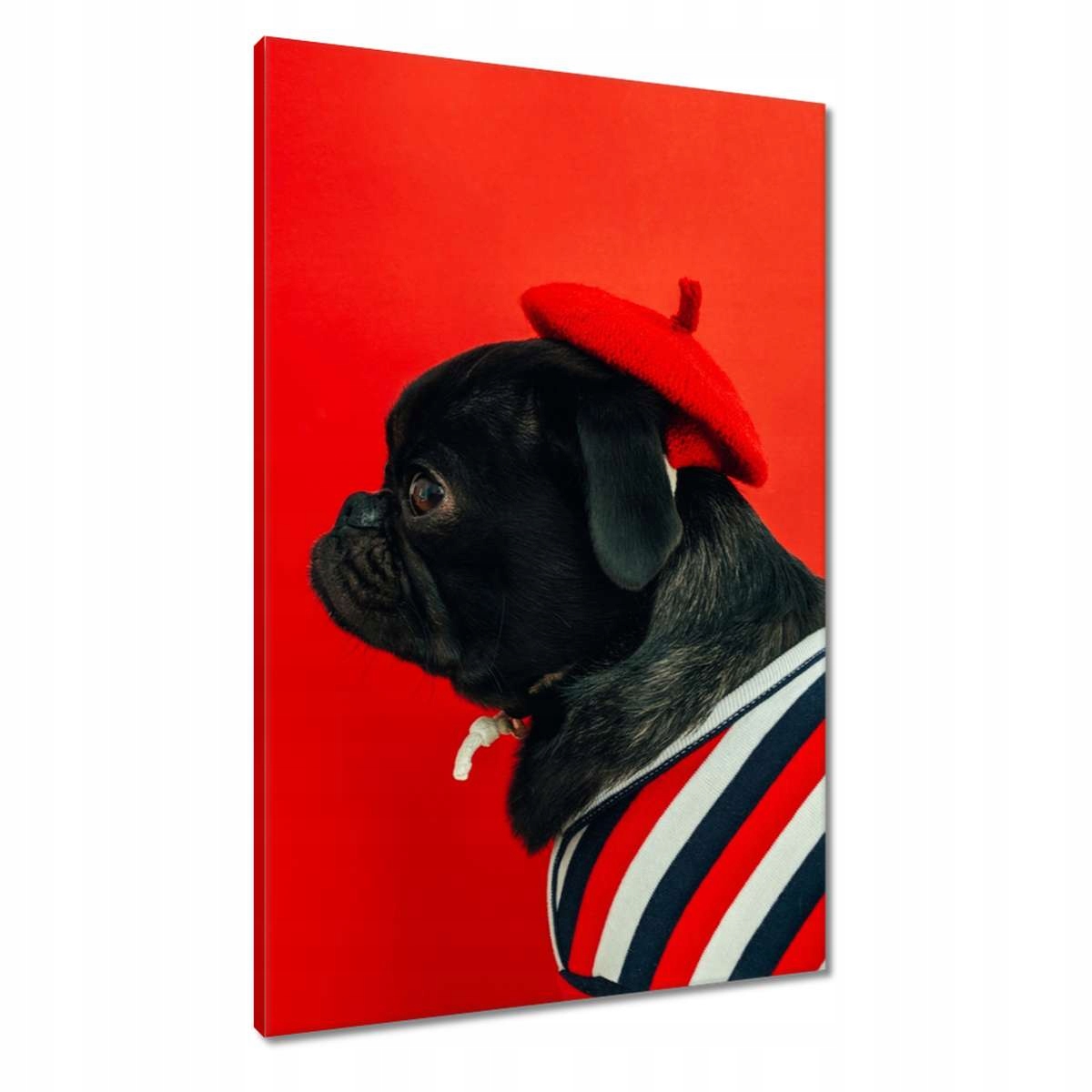 Obrazy 60x90 Pejsek Pejsci