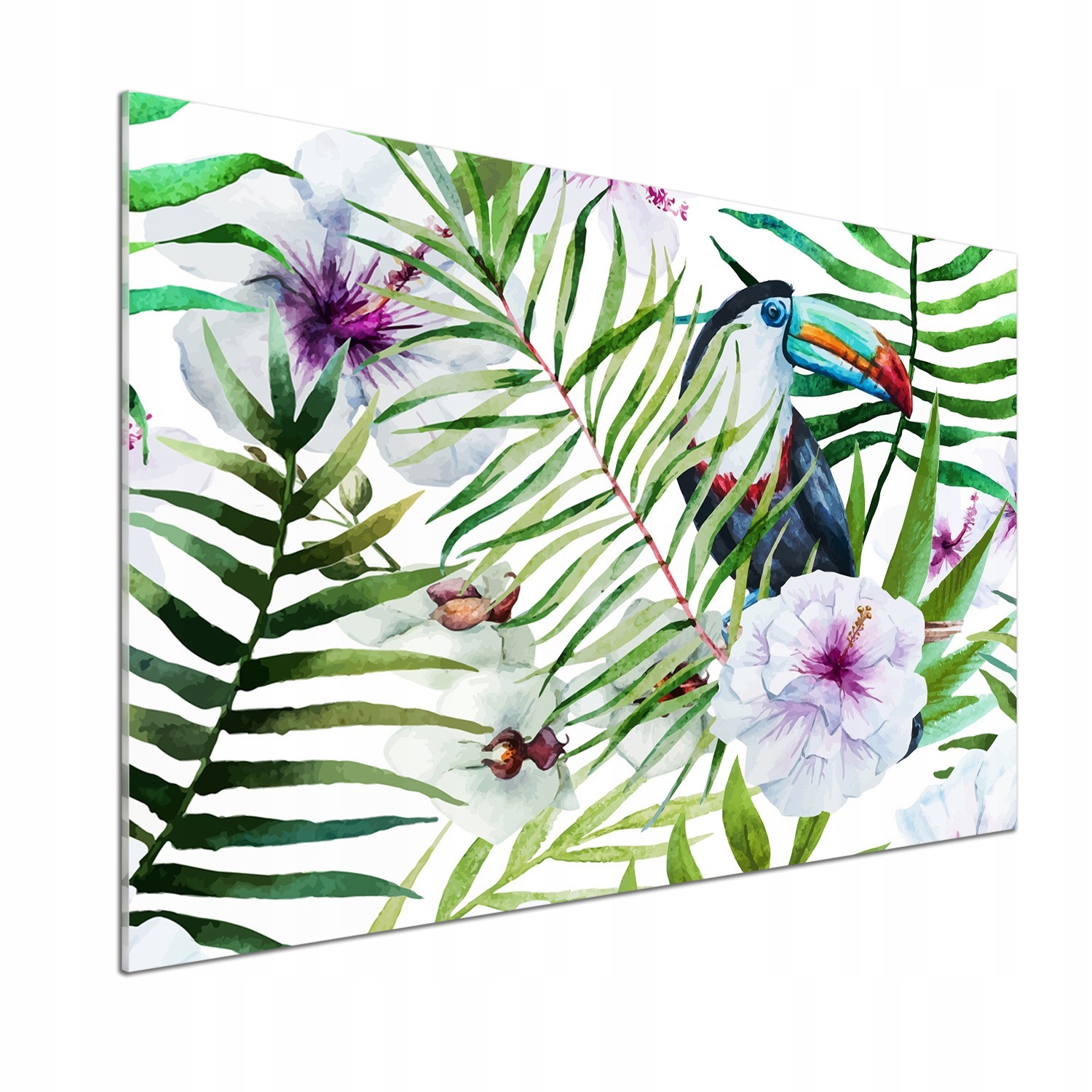Panel do kuchyne Tukan tropika 100 x 70 cm Lepidlo