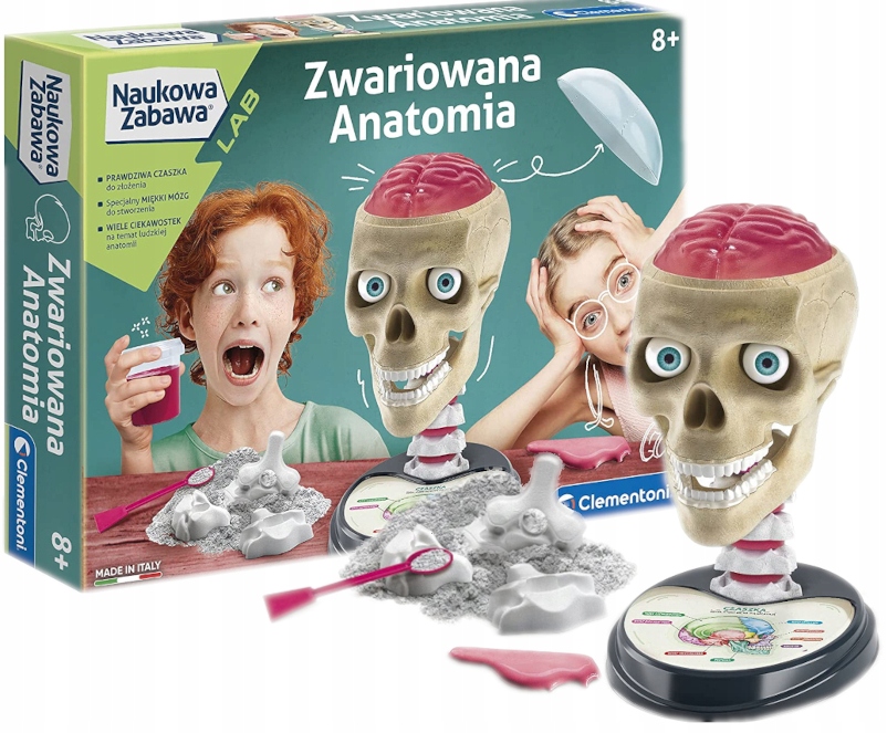 

Clementoni Zwariowana Anatomia Czaszka 50697