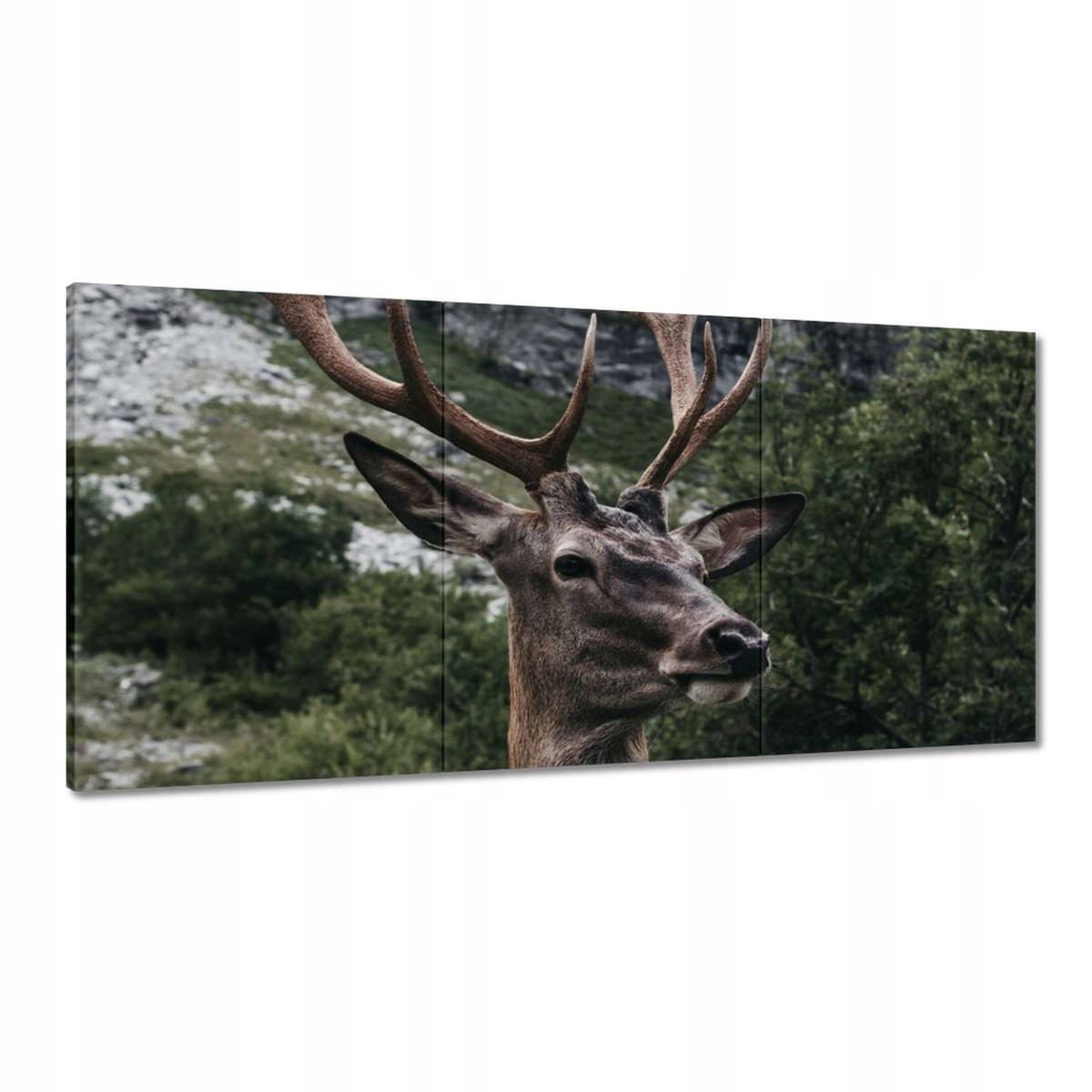 Obrazy 180x90 Jeleň Rogač