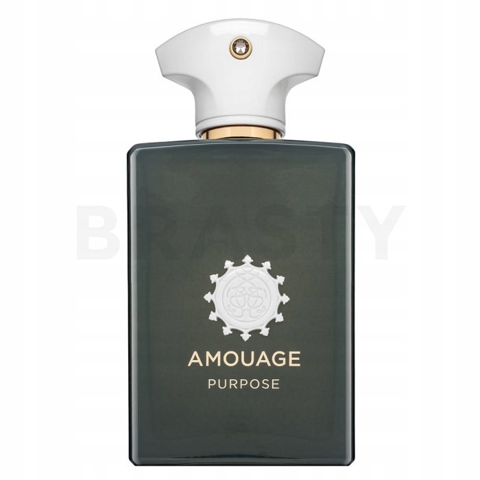 Amouage Purpose Edp U 100 ml