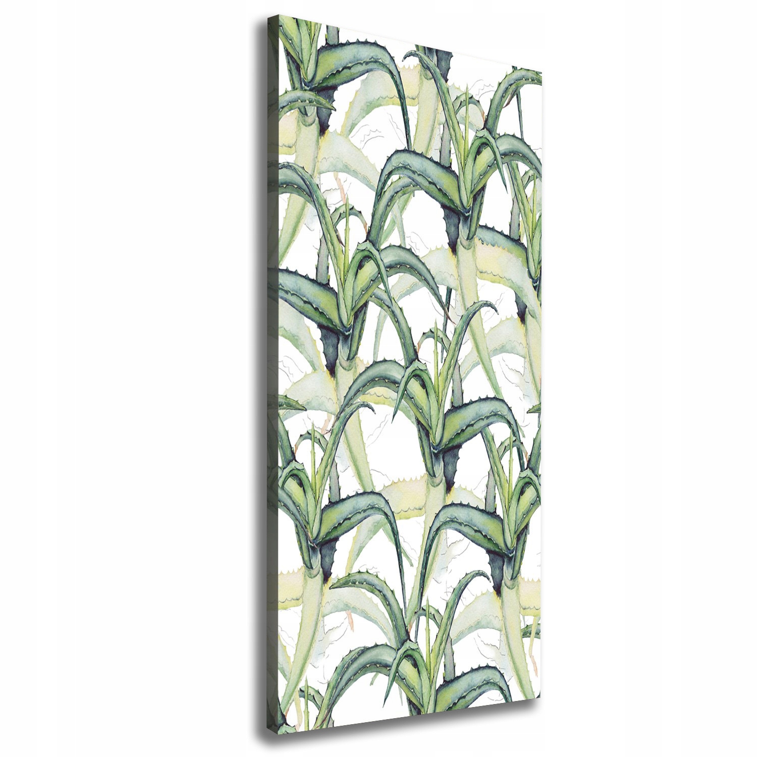 

Foto-obraz zdjęcie na płótnie Aloes 50x125 cm