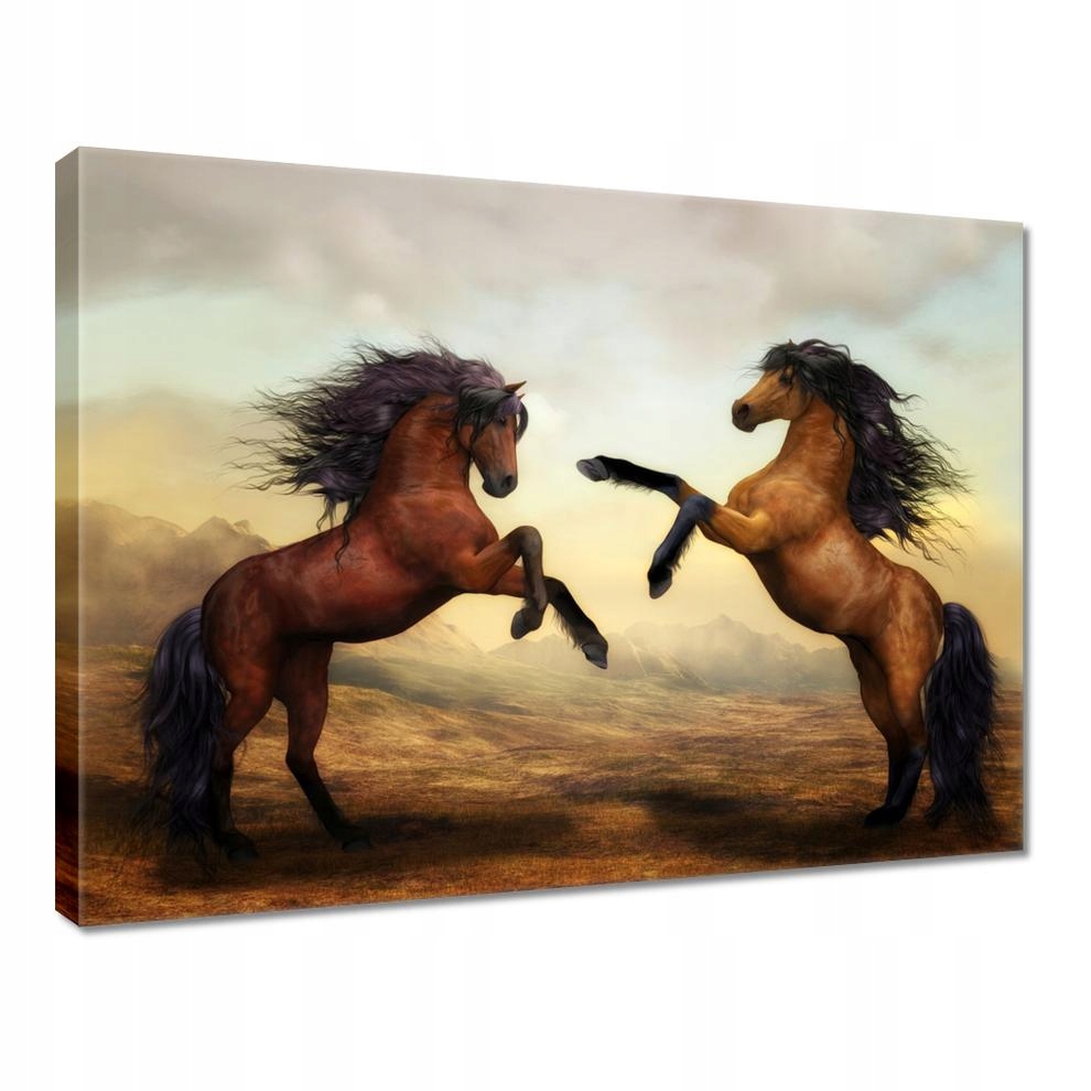 

Obrazy 40x30 Dwa Konie