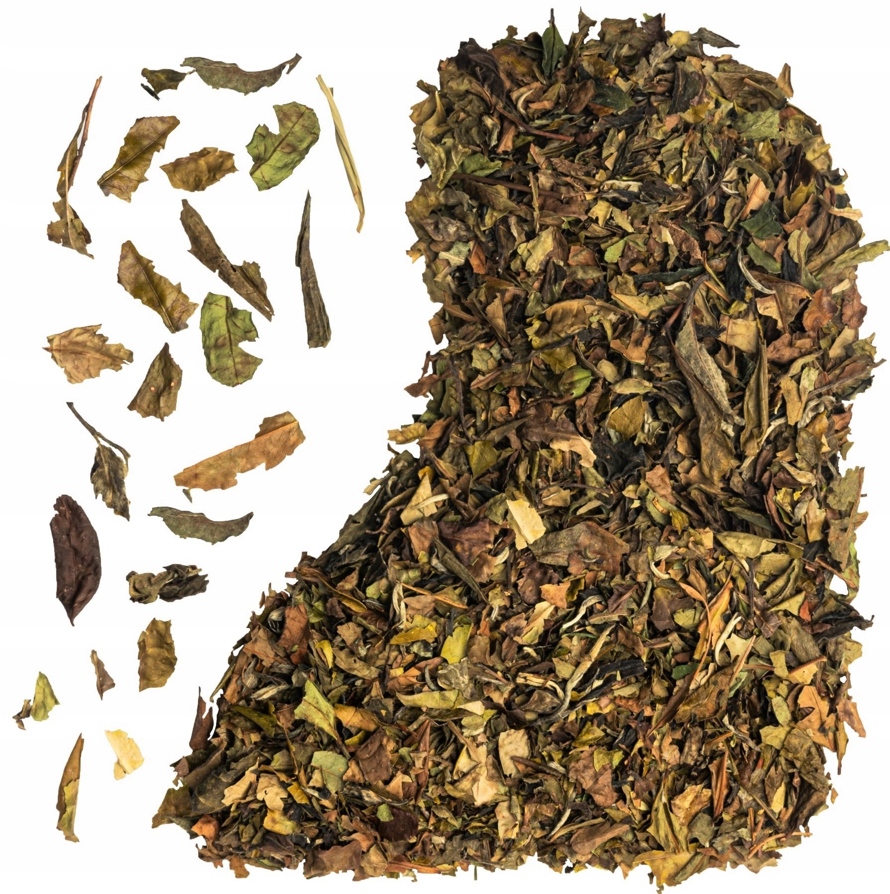 Bílý Čaj Pai Mu Tan – Originál Velkoobchod 1 kg!