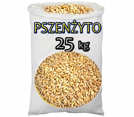 

Pszenżyto ziarno karma pasza zboze kur gołębi 25KG