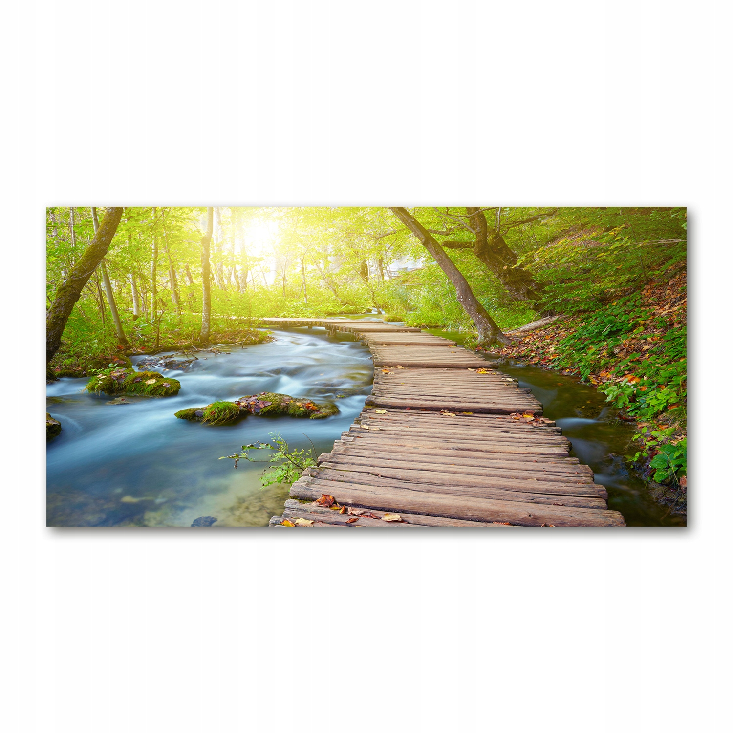 

Foto obraz akryl zdjęcie Ścieżka w lesie 120X60 cm
