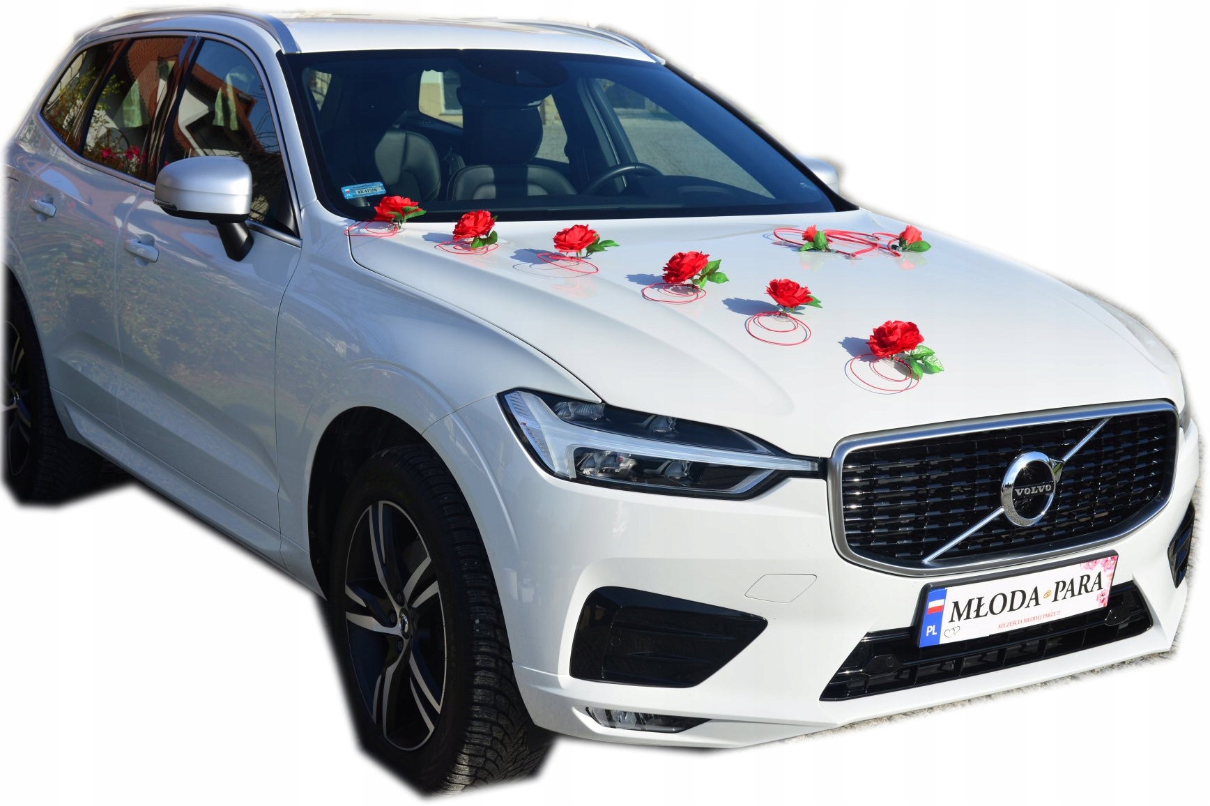 Červená Dekorace do auta, ozdoby na auto 317