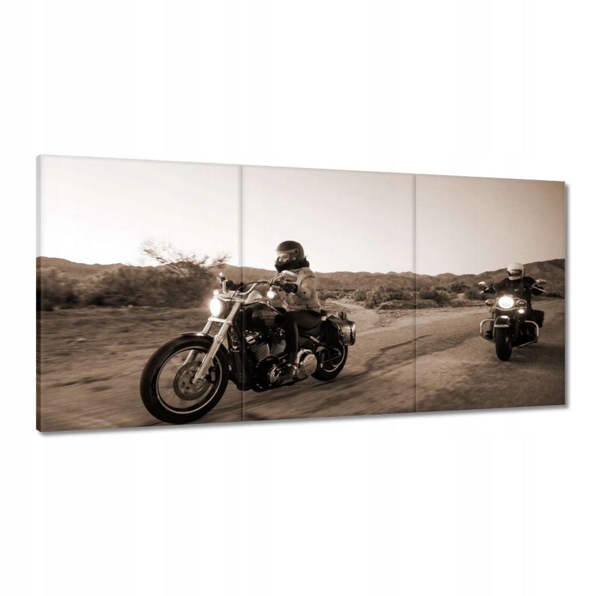 Obrazy 180x90 Harley Davidson Motocykel