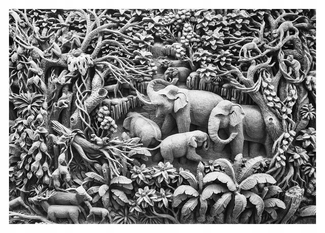 Fototapeta Džungľa zvieratá slony vinylová 254x184 lepidlo