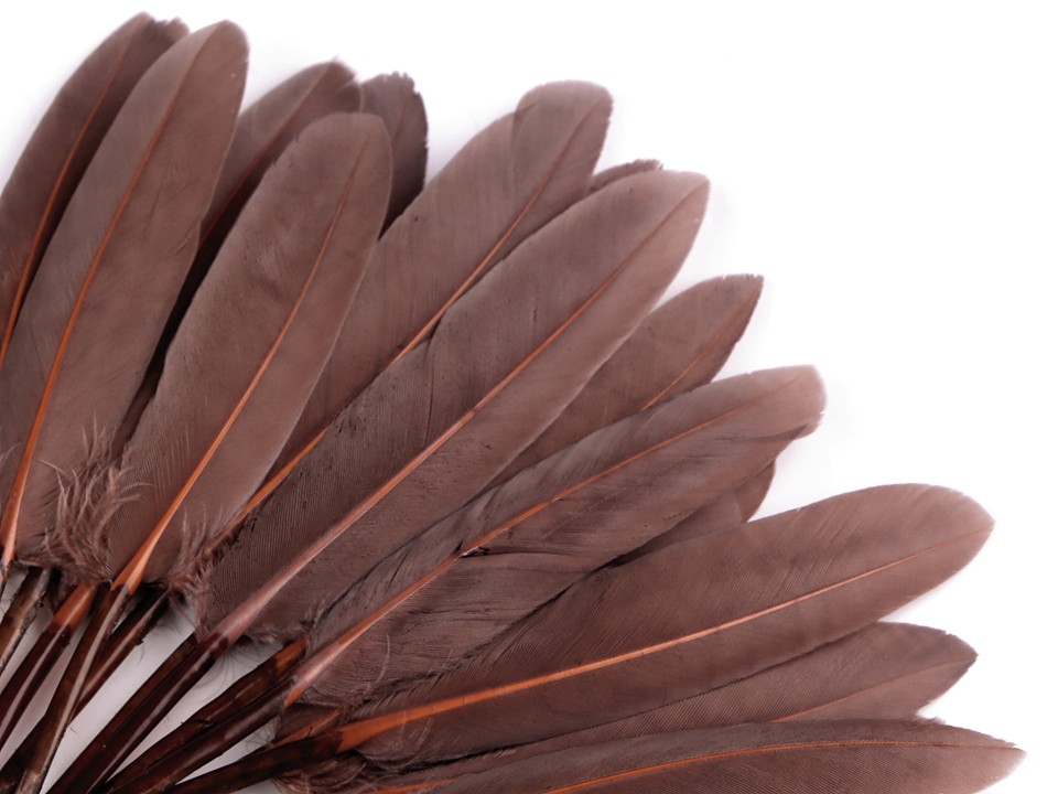 Piórka lotki 20 szt brąz