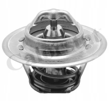 Termostat CALORSTAT by Vernet TH5962.88J Stan opakowania oryginalne