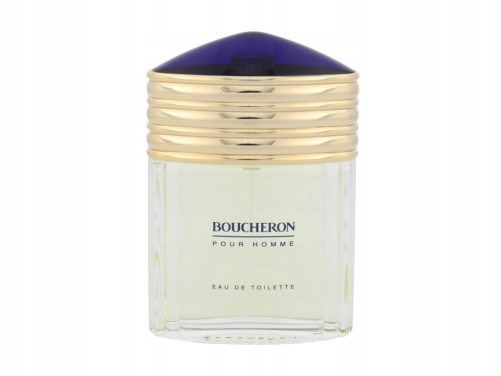 Boucheron Boucheron Pour Homme toaletní voda pro muže 100 ml