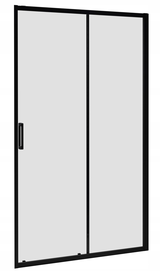 Drzwi prysznic Premium Pro Black Dwj 120 Radaway R